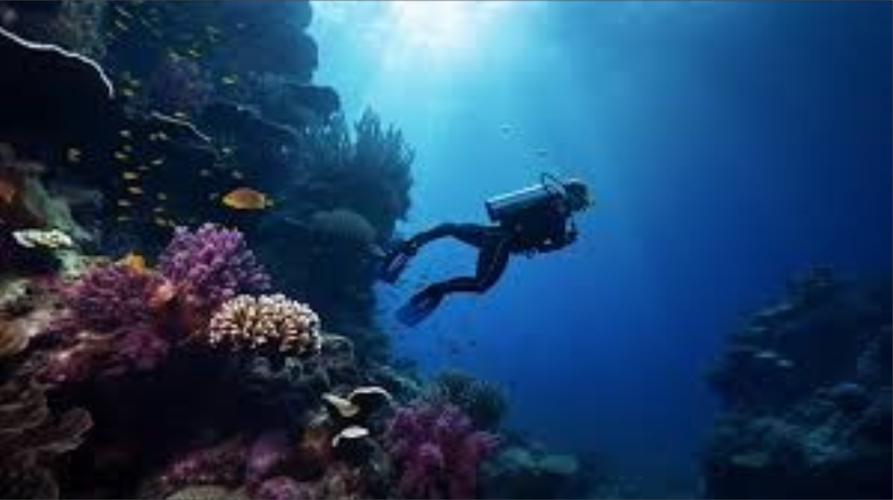  Los especialistas lograron obtener uno de los mapas más detallados hasta la fecha del fondo oceánico